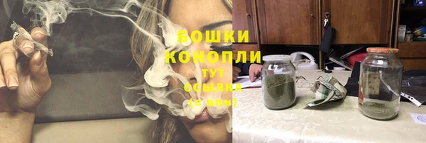 экстази Белокуриха