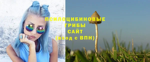 экстази Белокуриха