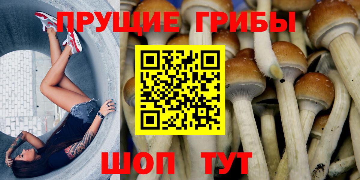 Маркс  Псилоцибиновые грибы прущие грибы  Вход с VPN  Галлюциногенные грибы ЛСД 